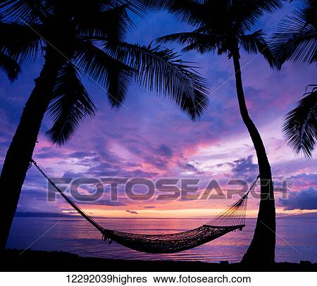 Beautiful Vacation Sunset, Hammock Silhouette with Palm Trees View Large Photo Image Stock Photograph - Beautiful Vacation Sunset, Hammock Silhouette with Palm Trees. Fotosearch