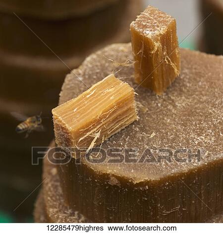 Stock Photograph - Bee flying towards pieces of wax; Dolores Hidalgo, Guanajuato, Mexico. Fotosearch