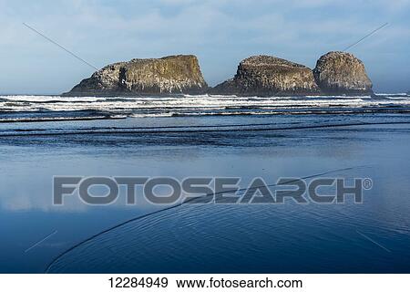 Bird rocks are found at Ecola State Park; Cannon Beach, Oregon, United States of America View Large Photo Image Stock Photo - Bird rocks are found at Ecola State Park; Cannon Beach, Oregon, United States of America. Fotosearch