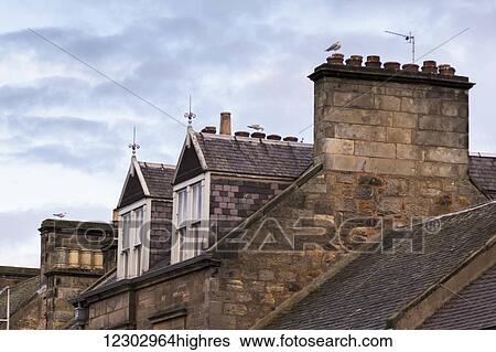 Stock Photograph - Birds and antennas on the rooftops of residential buildings; St. Andrews, Fife, Scotland. Fotosearch