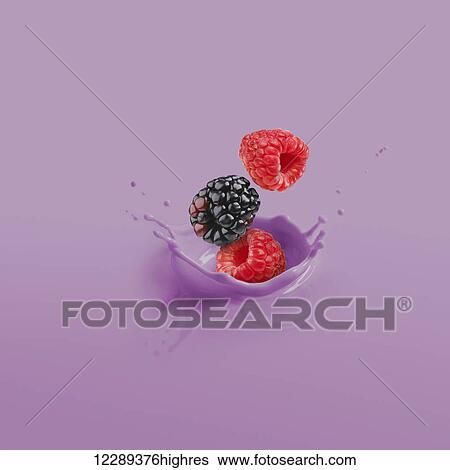 Stock Photograph - Blackberry and raspberries splashing in purple liquid; Toronto, Ontario, Canada. Fotosearch