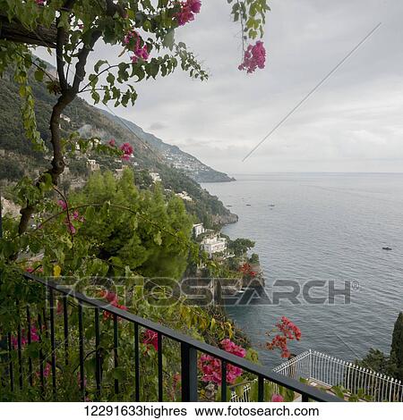 Blossoming flowers and a balcony railing with a view of the Amalfi coast; Positano, Campania, Italy View Large Photo Image Stock Photograph - Blossoming flowers and a balcony railing with a view of the Amalfi coast; Positano, Campania, Italy. Fotosearch