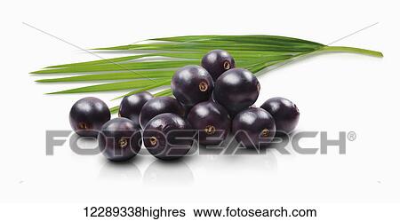 Blueberries and a green leaf on a white background; Toronto, Ontario, Canada View Large Photo Image Stock Photograph - Blueberries and a green leaf on a white background; Toronto, Ontario, Canada. Fotosearch