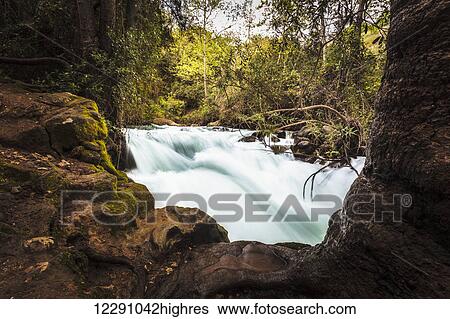 Stock Photograph - Blur of water flowing in a river; Banias, Israel. Fotosearch