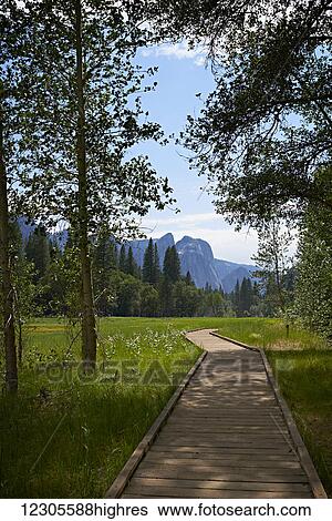 Boardwalk, Yosemite Valley, Yosemite National Park; California, United States of America View Large Photo Image Stock Photograph - Boardwalk, Yosemite Valley, Yosemite National Park; California, United States of America. Fotosearch