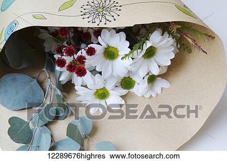Bouquet of flowers wrapped in paper; Chilliwack, British Columbia, Canada View Large Photo Image Stock Photograph - Bouquet of flowers wrapped in paper; Chilliwack, British Columbia, Canada. Fotosearch