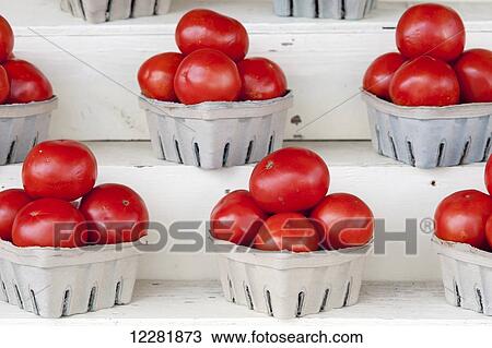 Bright red tomatoes stacked in boxes; Denton, Maryland, United States of America View Large Photo Image Stock Image - Bright red tomatoes stacked in boxes; Denton, Maryland, United States of America. Fotosearch