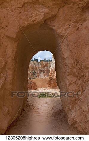 Bryce Canyon National Park, Queens Garden entrance; Utah, United States of America View Large Photo Image Stock Photograph - Bryce Canyon National Park, Queens Garden entrance; Utah, United States of America. Fotosearch