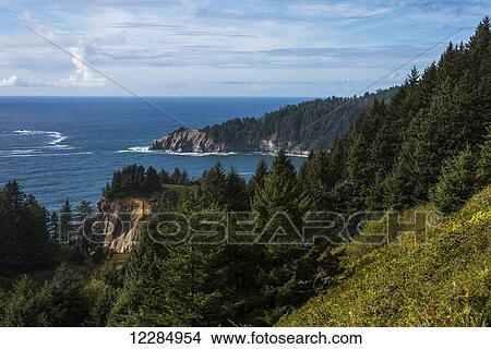 Cape Falcon extends into the Pacific Ocean; Manzanita, Oregon, United States of America View Large Photo Image Picture - Cape Falcon extends into the Pacific Ocean; Manzanita, Oregon, United States of America. Fotosearch