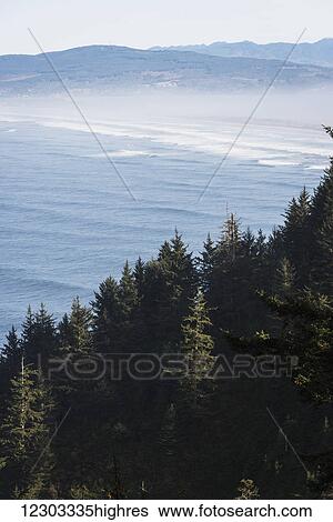 Stock Photograph - Cape Lookout extends out from the shore; Netarts, Oregon, United States of America. Fotosearch