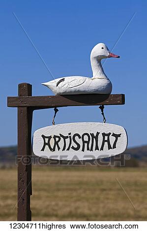 Carved wooden duck on a sign; Quebec, Canada View Large Photo Image Stock Photograph - Carved wooden duck on a sign; Quebec, Canada. Fotosearch