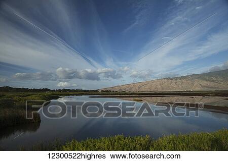 Stock Photograph - Cirrus clouds reflecting in water, Kealia Pond National Wildlife Refuge; Kealia, Maui, Hawaii, United States of America. Fotosearch