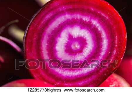 Close up of a cross section of red and white striped beet; Calgary, Alberta, Canada View Large Photo Image Stock Photograph - Close up of a cross section of red and white striped beet; Calgary, Alberta, Canada. Fotosearch