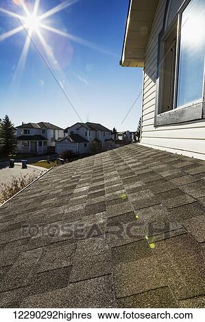 Close up of brand new roof shingles with neighbourhood houses, sun burst and blue sky in the background; Calgary, Alberta, Canada View Large Photo Image Stock Photograph - Close up of brand new roof shingles with neighbourhood houses, sun burst and blue sky in the background; Calgary, Alberta, Canada. Fotosearch