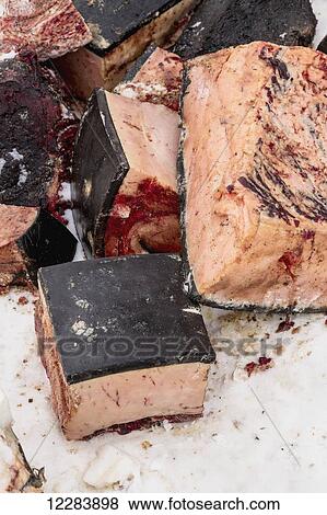 Close up of chunks of Bowhead whale meat on the frozen sea ice, Barrow, North Slope, Arctic Alaska, USA, winter View Large Photo Image Stock Photo - Close up of chunks of Bowhead whale meat on the frozen sea ice, Barrow, North Slope, Arctic Alaska, USA, winter. Fotosearch