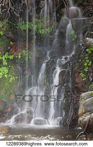 Stock Photograph - Close up of lush waterfall; Maui, Hawaii, United States of America. Fotosearch