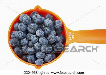 Stock Photograph - Close up of one cup of blueberries on a white background. Fotosearch