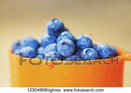 Close up of one cup of blueberries View Large Photo Image Stock Photograph - Close up of one cup of blueberries. Fotosearch