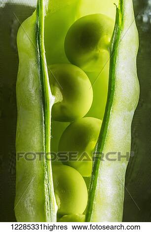 Stock Photograph - Close up of peas in a pea pod; Calgary, Alberta, Canada. Fotosearch