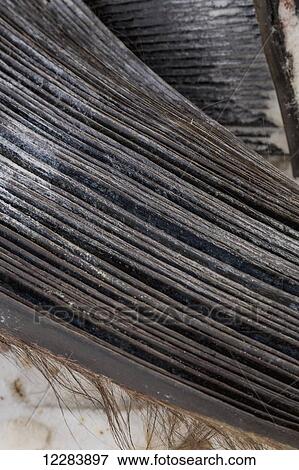 Stock Photo - Close up view of Bowhead whale baleen, Barrow, Arctic Alaska, USA, winter. Fotosearch