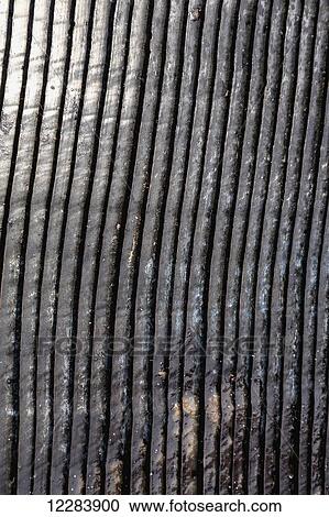 Stock Image - Close up view of the ridges on Bowhead whale skin, Barrow, North Slope, Arctic Alaska, USA, Winter. Fotosearch