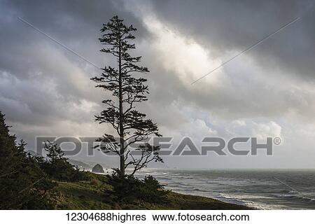 Clouds cloak the Oregon coast; Cannon Beach, Oregon, United States of America View Large Photo Image Stock Photograph - Clouds cloak the Oregon coast; Cannon Beach, Oregon, United States of America. Fotosearch