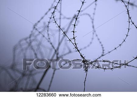 Stock Image - Coils of barbed wire, focus on the sharp and pointed foreground length of wire and barbs; Arizona, United States of America. Fotosearch