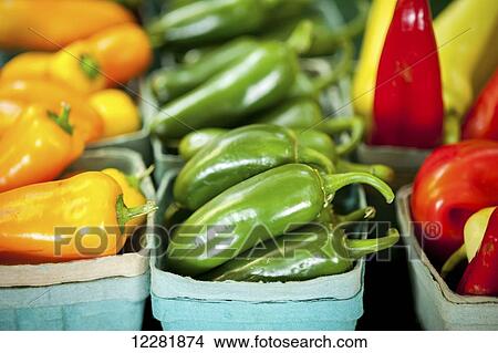 Colorful peppers stacked in containers; Denton, Maryland, United States of America View Large Photo Image Picture - Colorful peppers stacked in containers; Denton, Maryland, United States of America. Fotosearch