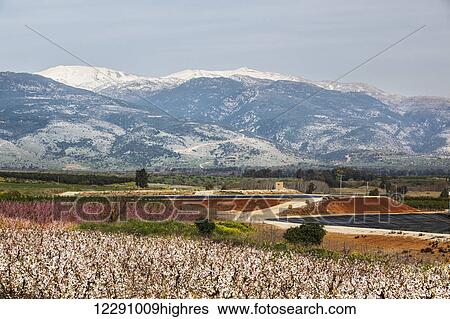 Stock Photograph - Colourful landscape with snow capped mountains in the distance; Israel. Fotosearch