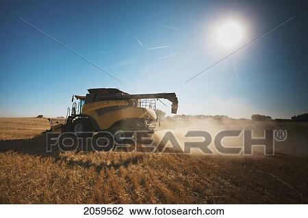 Combine In Field With Dust And Chafe, Redvers, Saskatchewan, Canada View Large Photo Image Stock Image - Combine In Field With Dust And Chafe, Redvers, Saskatchewan, Canada. Fotosearch