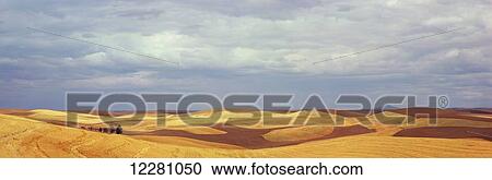 Stock Image - Contour fields with stripes of ploughed earth and cut grain are shown with a stormy sky in the background; Palouse, Washington, United States of America. Fotosearch