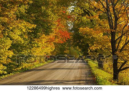 Stock Photograph - Country road in autumn; West Bolton, Quebec, Canada. Fotosearch