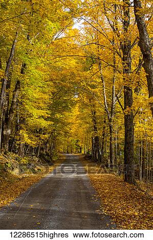 County road in autumn; Knowlton, Quebec, Canada View Large Photo Image Stock Photograph - County road in autumn; Knowlton, Quebec, Canada. Fotosearch