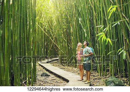 Couple having fun together outdoors on hike through amazing bamboo forest trail. View Large Photo Image Stock Photograph - Couple having fun together outdoors on hike through amazing bamboo forest trail.. Fotosearch