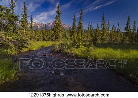 Stock Photograph - Creek that leads away from Lac Beauvert, Jasper National Park; Alberta, Canada. Fotosearch