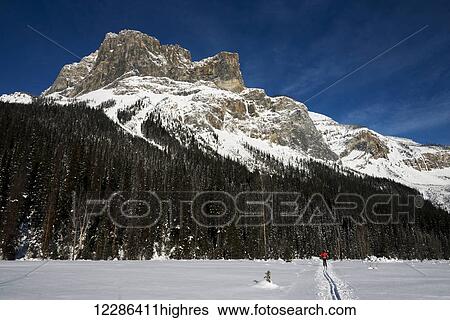Stock Photograph - Cross country skiing in Yoho National Park; Field, British Columbia, Canada. Fotosearch