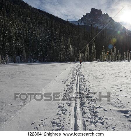 Stock Photograph - Cross-country skiing in Yoho National Park; Field, British Columbia, Canada. Fotosearch