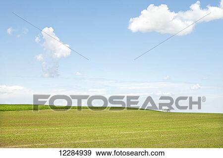 Stock Photo - Cultivated field, grain silos in background; Quebec, Canada. Fotosearch