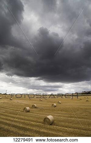 Stock Image - Dark storm clouds over a field with hay bales; South Shields, England. Fotosearch