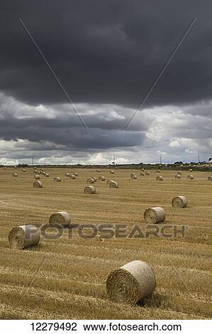 Dark storm clouds over a field with hay bales; South Shields, England View Large Photo Image Stock Image - Dark storm clouds over a field with hay bales; South Shields, England. Fotosearch