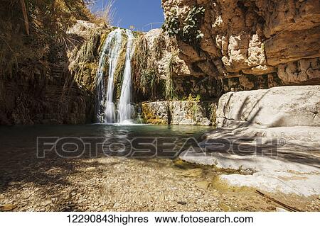 Stock Photograph - David and his men stayed in Ein Gedi and certainly enjoyed the fresh water falling from the Desert plateau above. There are several waterfalls of differing sizes that make there way down to the Dead Sea below; Ein Gedi, Israel. Fotosearch