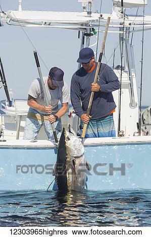 Day on the water fishing for blue fin tuna; Cape Cod, Massachusetts, United States of America View Large Photo Image Stock Photograph - Day on the water fishing for blue fin tuna; Cape Cod, Massachusetts, United States of America. Fotosearch