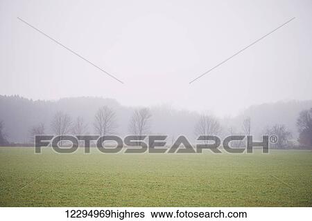 Stock Photograph - Dense fog over a green field; Ontario, Canada. Fotosearch