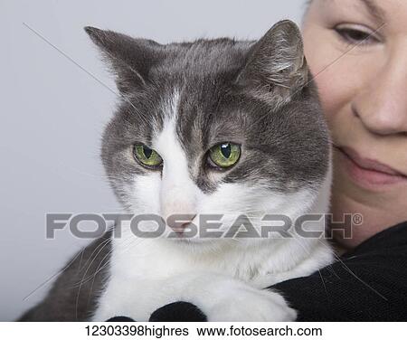 Stock Photograph - Domestic short-haired cat perched on it's owners shoulder, taken in a studio on a white background; Edmonton, Alberta, Canada. Fotosearch