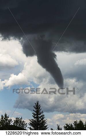 Dramatic funnel cloud created in dark storm clouds with silhouetted evergreen trees; Calgary, Alberta, Canada View Large Photo Image Stock Photograph - Dramatic funnel cloud created in dark storm clouds with silhouetted evergreen trees; Calgary, Alberta, Canada. Fotosearch