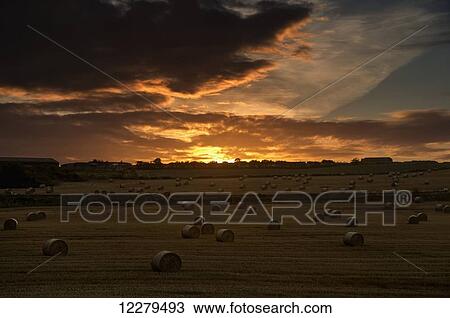 Stock Image - Dramatic sunset with dark clouds over a field with hay bales; Whitburn, Tyne and Wear, England. Fotosearch