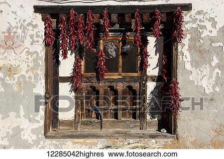Dried red peppers hanging in a window; Paro, Bhutan View Large Photo Image Stock Photograph - Dried red peppers hanging in a window; Paro, Bhutan. Fotosearch