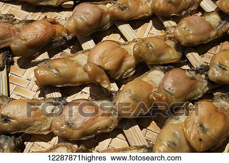 Dried seafood on display in market stall; Hong Kong View Large Photo Image Stock Photograph - Dried seafood on display in market stall; Hong Kong. Fotosearch