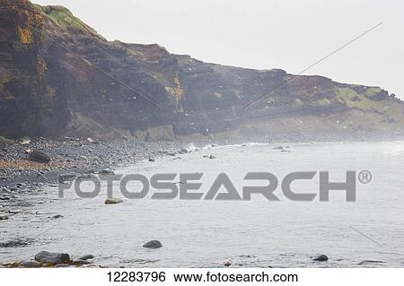 Stock Photograph - Eroding coastal cliffs of St. Paul Island along the Bering Sea, St. Paul Island, Southwestern Alaska, USA, Summer. Fotosearch