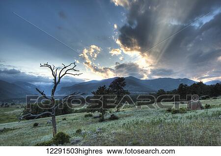 Stock Photograph - Evening light shines through clouds over a meadow in Rocky Mountain National Park; Colorado, United States of America. Fotosearch